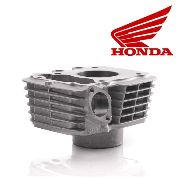 Kit Cilindro CBF 125 GRIS