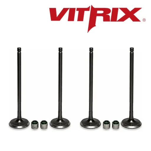 Valvulas cbr 250 kit