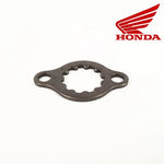 PLACA FIJACION XR 250