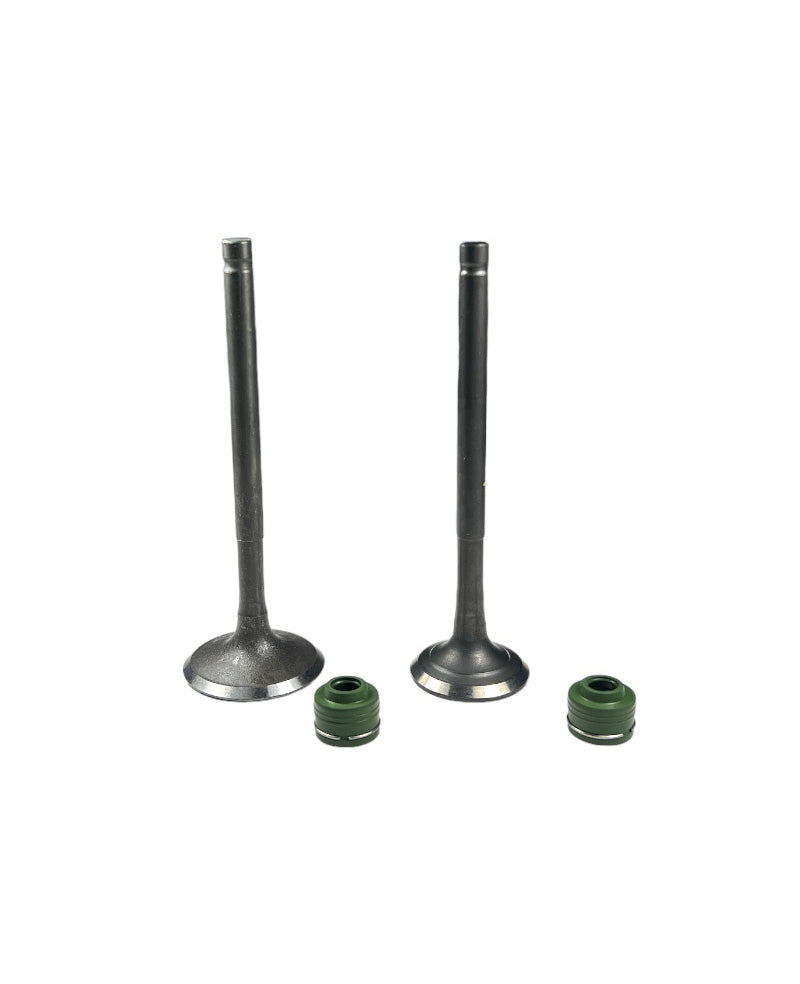 Valvulas cb110 kit