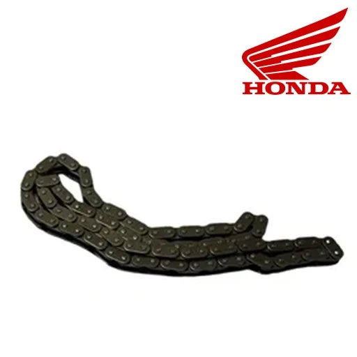 Cadenilla dio110