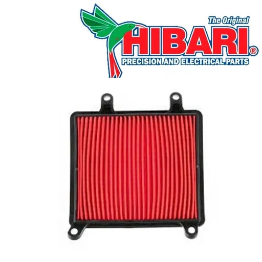 Filtro aire xr190