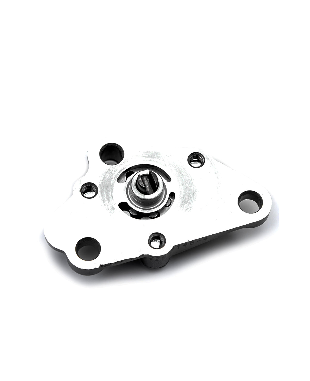 BOMBA ACEITE ECO 100
